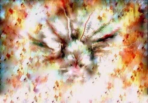 Conceptual Art