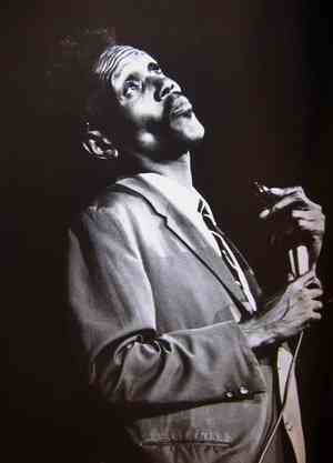 Birth of the Blues: Big Walter Horton