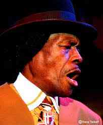 Birth of the Blues: Junior Wells
