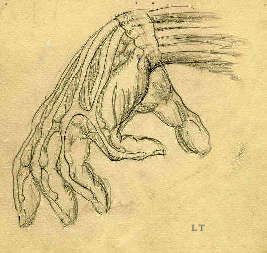 Drawing anatomy: hand