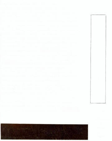 Conceptual Art