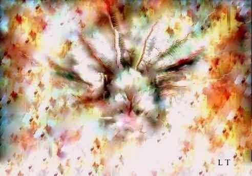 Pirate Conceptual Art: Impossible Instinct