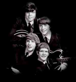 Birth of Rock & Roll: The McCoys