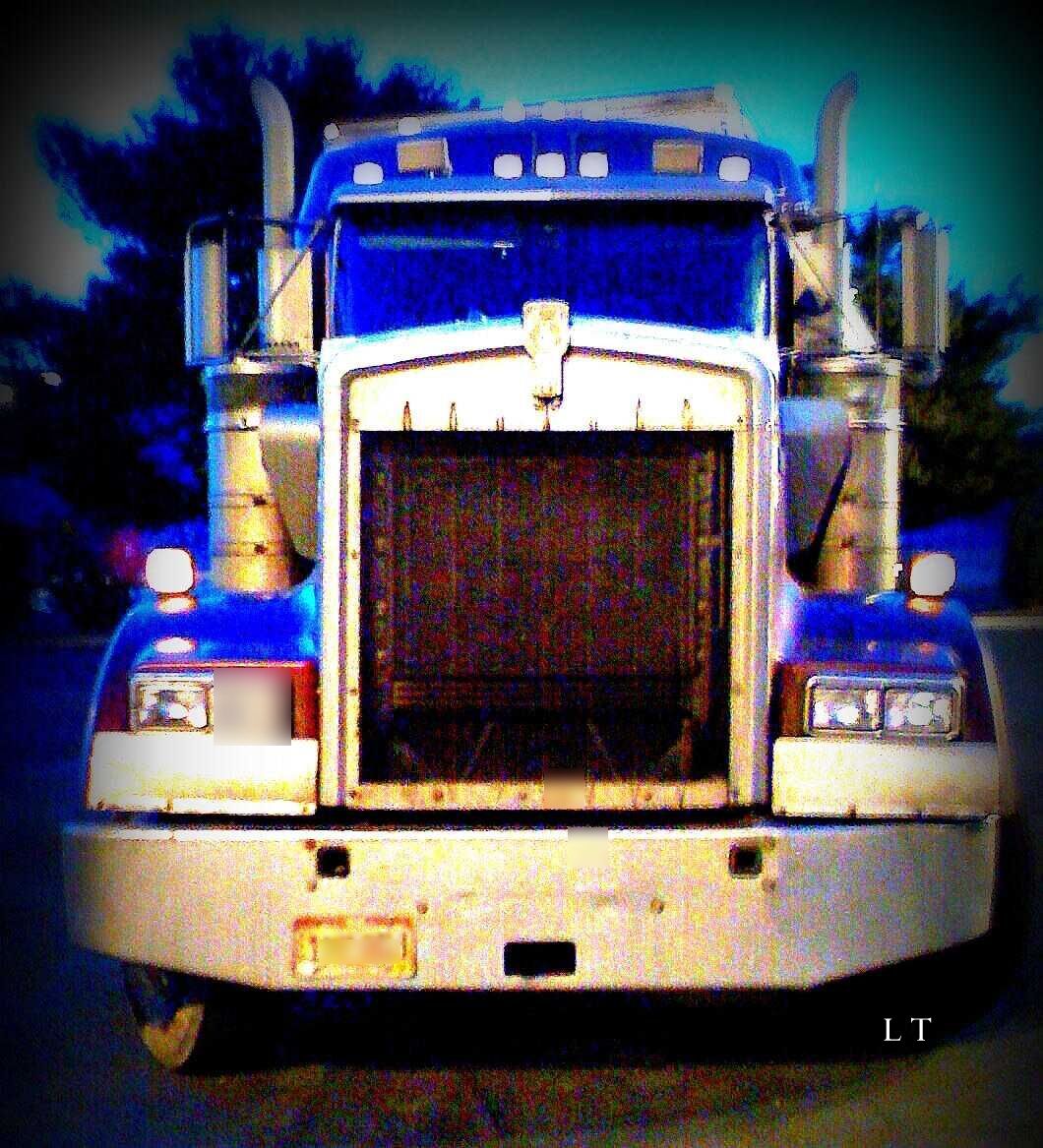 Not Old Penny's Pete